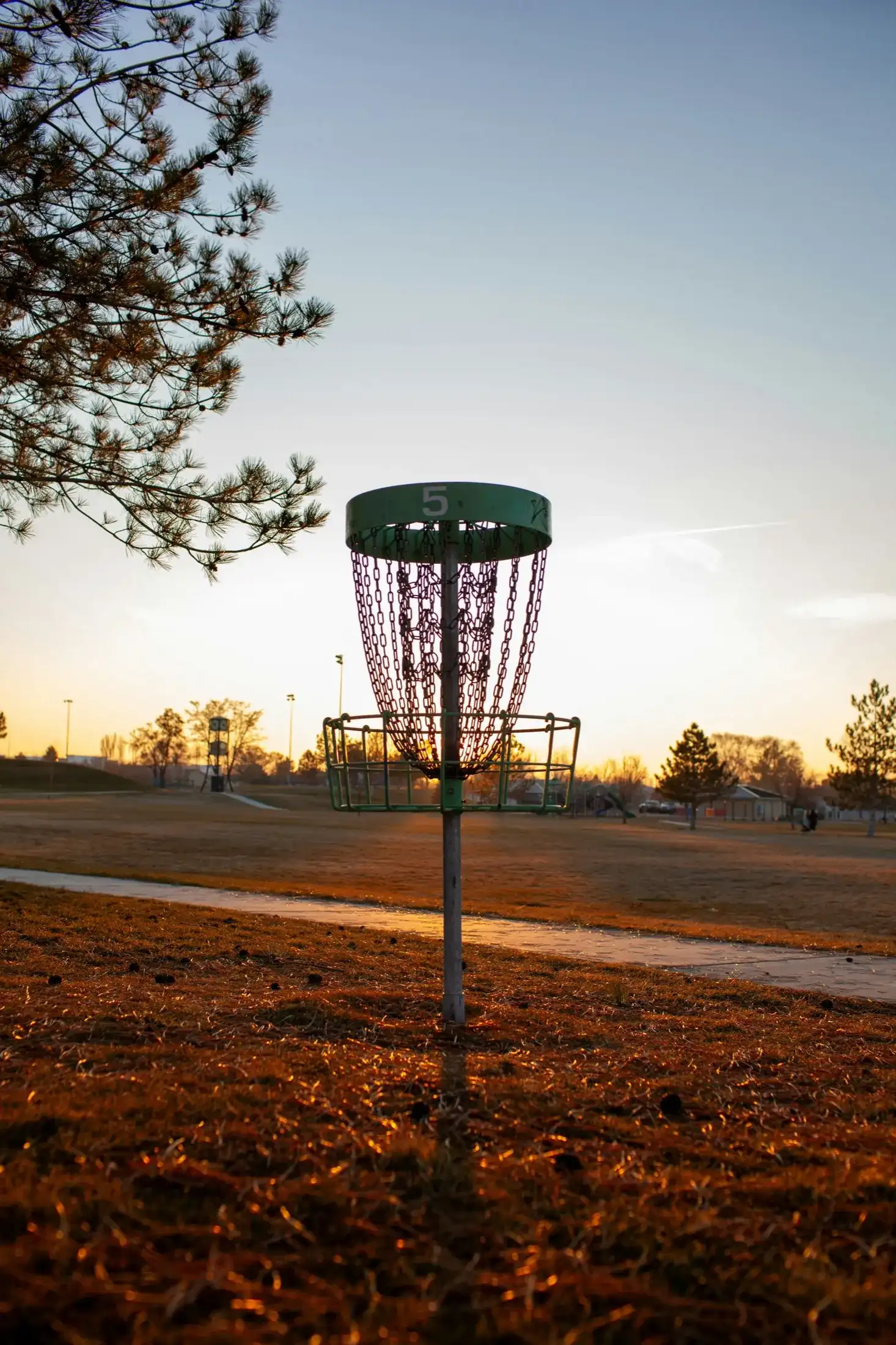 DiscDialed Disc golf