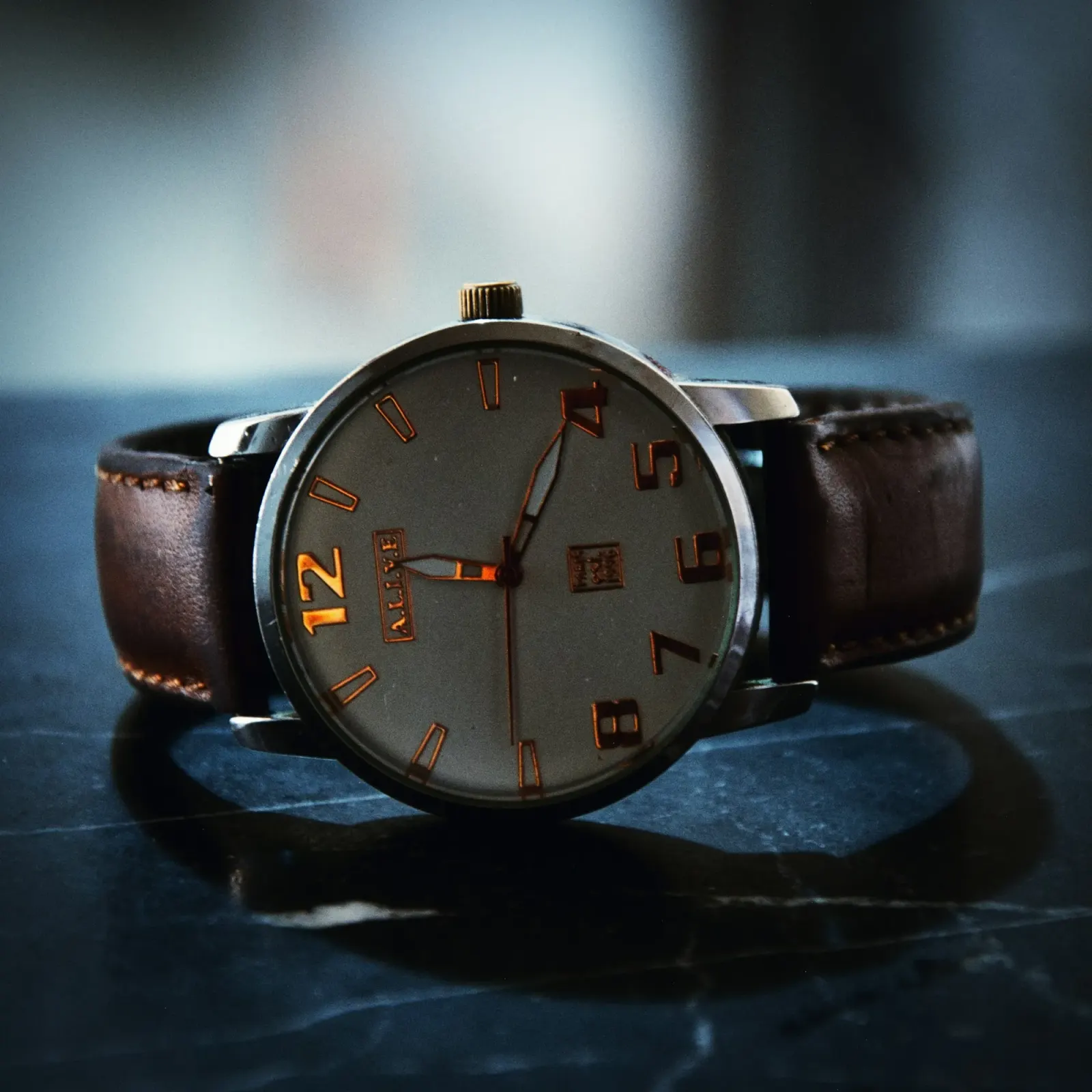 StrapVault Watch straps